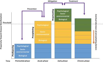 Frontiers A Framework for Understanding the Role of